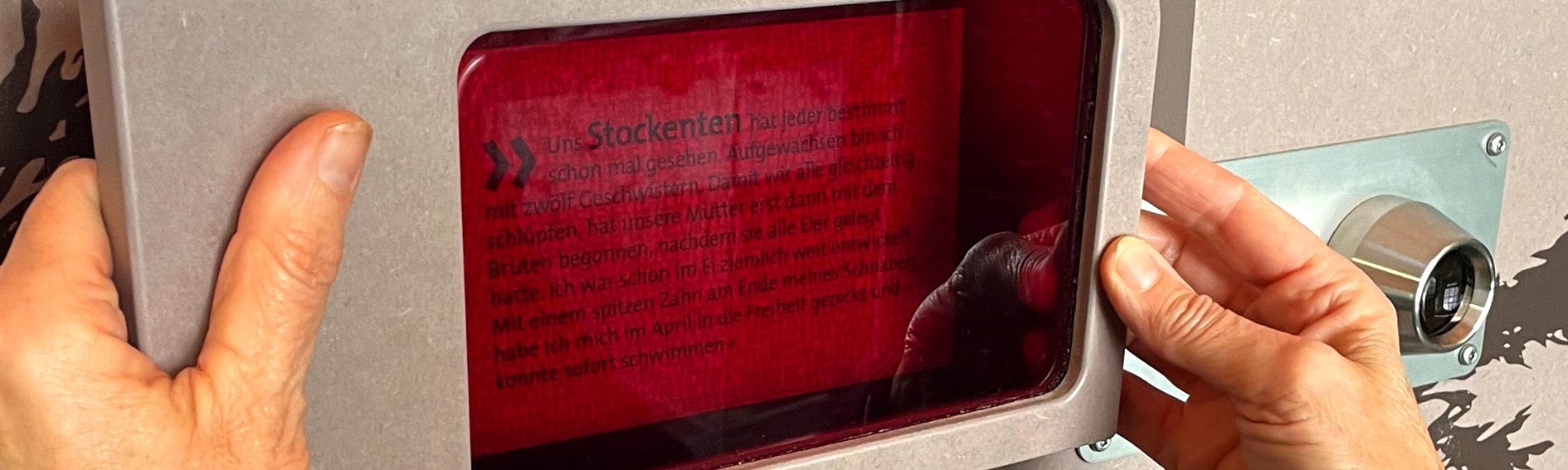 Erst mit dem Rotfilter wird der Text lesbar. Mitmachelement in der Ausstellung am Seeburger See, umgesetzt durch signatur umweltmedien.