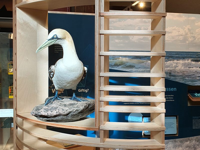 Eröff­net! Grund­er­neu­erte Dau­er­aus­stel­lung im Natio­nal­park-Haus Witt­bül­ten